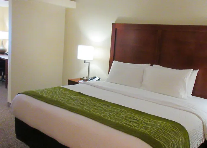 Comfort Inn&suites North - Deer Valley Hotel