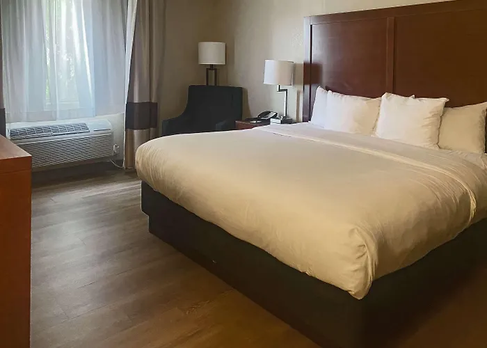 Comfort Inn&suites North - Deer Valley 3* Phoenix
